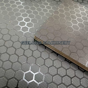 Джилонг-гекса-фанера-горячий пресс-машина-пленочная фанера-ламинат-горячий пресс-машина (2)