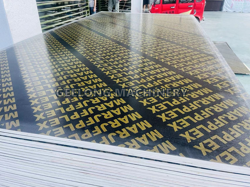 фото_20231212165747